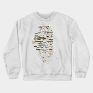 Illinois Fish Species Poster Crewneck Sweatshirt